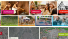 gallery-case-study-stadt-forchheim-1
